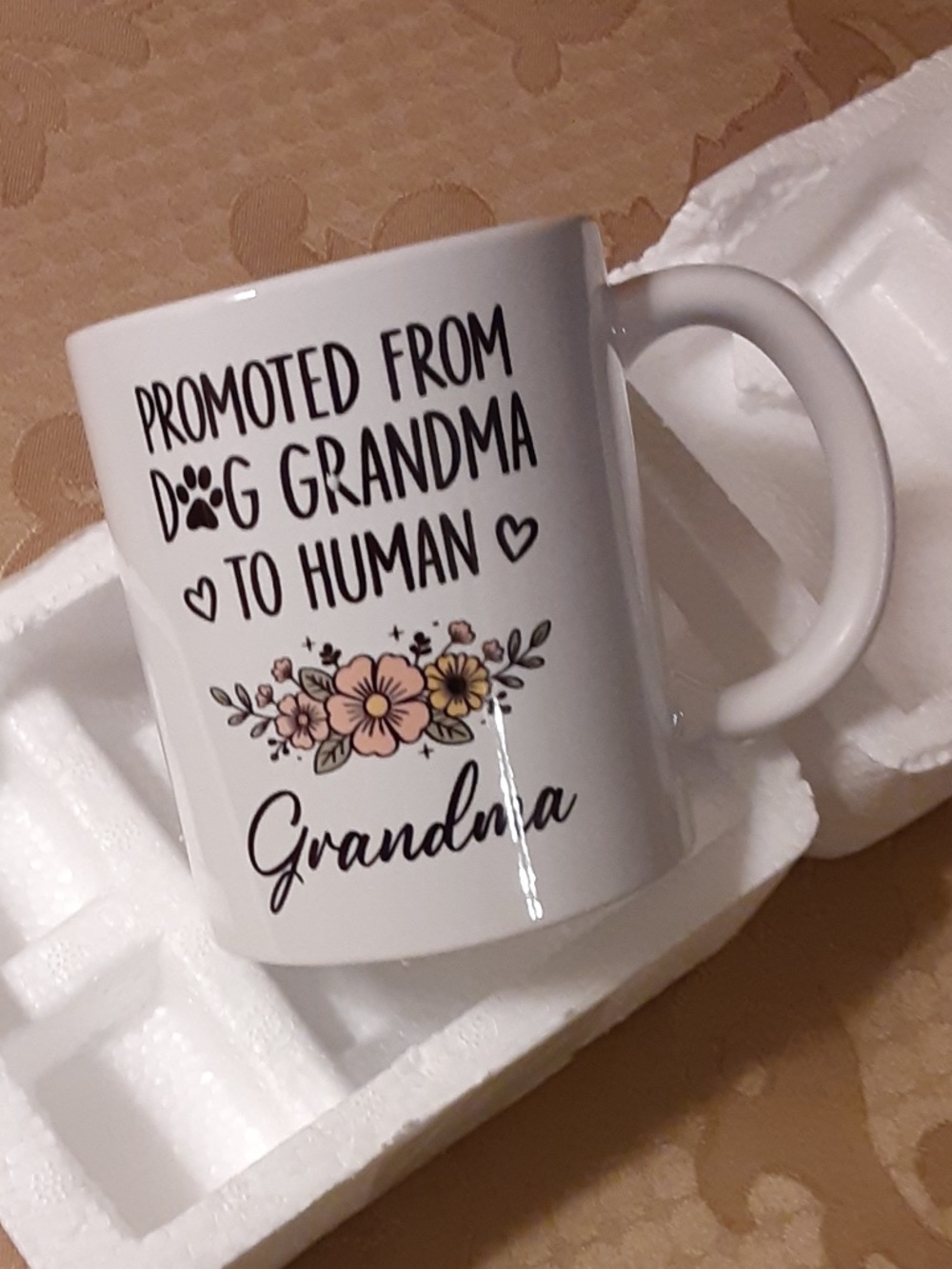 Promoted From Dog Grandma To Human Grandma Mug